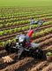GSCPT Power Mini Tiller/Mini Power Tiller/Cultivator/Rotary Weeder 2 Stroke 63cc Fuel Grass Trimmer (Manual Feed) - Image 3