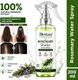 eyurva 2 pcs rosemary water for hair (200 ml) - Image 3