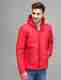 Eddicted Men Printed Puffer Jacket - Image 2