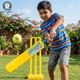 PMG Wooden Bat with Wickets and Ball Cricket Kit - Image 4