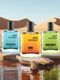 PARK AVENUE Luxury Perfume Gift Set - Harmony, Euphoria, Conquer & Discoverer (4x20ml) Eau de Parfum - 80 ml (For Men) - Image 3