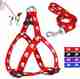 tore Smni oA à¤à¥à¤° सà¥à¤®à¤¿à¤¨à¥ à¤à¤ Set of 3pcs pet 10mm belt neck collar with bell neck strap for cats and puppies à¤à¥à¤²à¤° (सà¥à¤®à¥à¤²) - Image 2