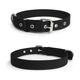 HOUSE OF COMMON Dog Belt Combo Nylon Collar with Chain Leash (Medium, - Image 3