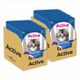 Maxi Persian Ocean Fish Dry Cat Pack of 2 · 1.2 kg (2.4 kg total) - Image 3
