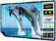 Savsol 92 inch 4K 16:9 Portable Projector Screen - Image 2