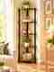 DIVON Acrylic Single Wall Shelf, Clear - Image 2
