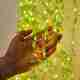 Refulgix 240 LEDs 3m White Rice String Lights - Image 2