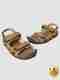 WOODLAND Men Outdoor Comfortable Lightweight Everyday Use Casual Sandal (Olive , 9) - Image 2
