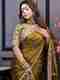 PRATYAMFASHION Embroidered Bollywood Silk Blend, Velvet Saree (Multicolor) - Image 2