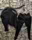 TYRELL Men Cotton Blend Shirt Pant Set - Image 2