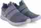 Sparx SM 737 | Stylish, Comfortable | Sneakers For Men (Grey , 6) - Image 2