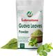 Lebrostone Ayurvedic Skin Ointment 15g for Ringworm & Fungal Infection - Image 4