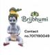 Redham Silicone Laddu Gopal Idol, 60 cm, Blue - Image 4
