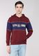 INDIAN TERRAIN Men Full Sleeve Graphic Print Hooded Sweatshirt - Image 4