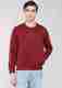 INDIAN TERRAIN Men Full Sleeve Graphic Print Hooded Sweatshirt - Image 2
