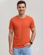 COITONIC Men Printed Polo Neck Cotton Blend Beige T-Shirt - Image 4