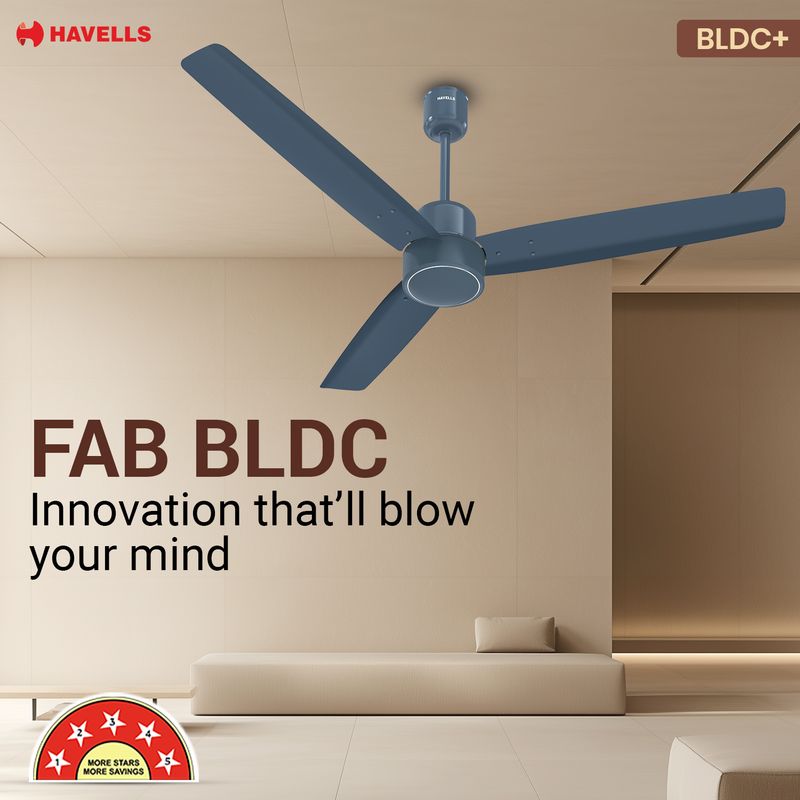 HAVELLS FAB|Remote Controlled|Low Noise|Upto 65% Energy Saving|Reverse Mode|30W with 3 Year Warranty BLDC Motor 1200 mm Ceiling Fan (5 Star | Denim Blue | Pack of 1) - Image 6