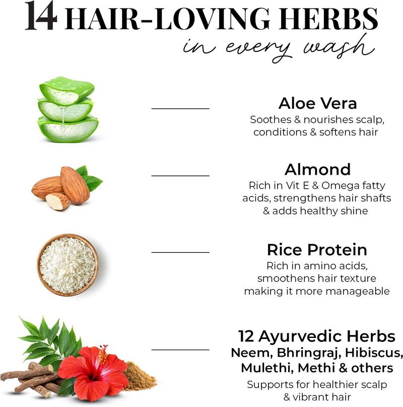Just Herbs Smooth & Shine Shampoo for Dry & Frizzy Hair | Aloe & Almond (200 ml) - Image 7