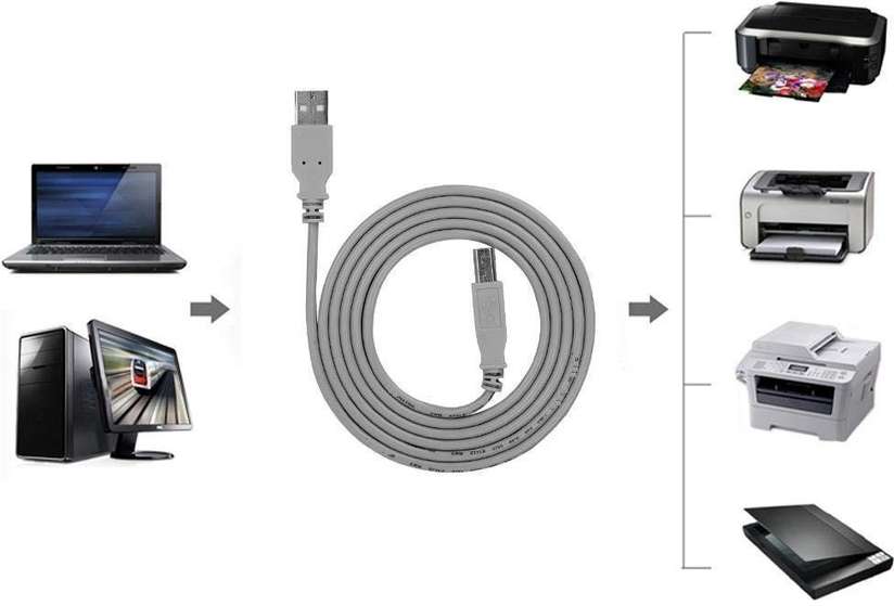 Terabyte USB Printer Cable Printer for HP, Canon, USB Male to