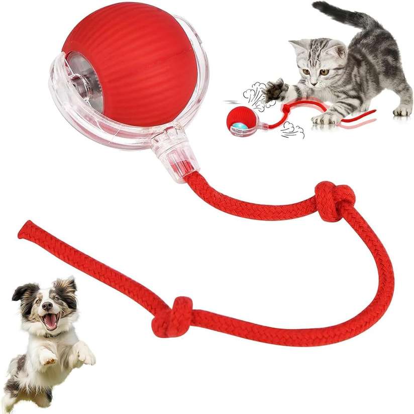 ARSENTERPRISE Cats Smart silicone Rolling Ball with Tail Silicone Ball For Dog & Cat Price in India - Buy ARSENTERPRISE Cats Smart silicone Rolling Ball with Tail Silicone Ball For Dog & Cat online at Shopsy.in - Image 2