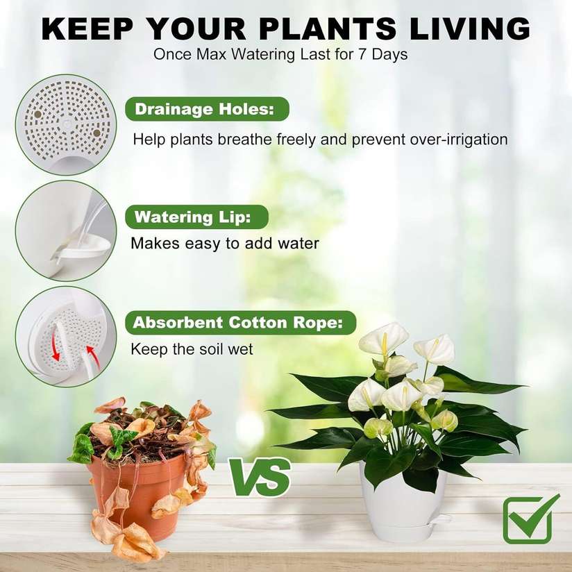 Shopsy TechHark Self Watering Pots Set for Home Decoration - Image 8
