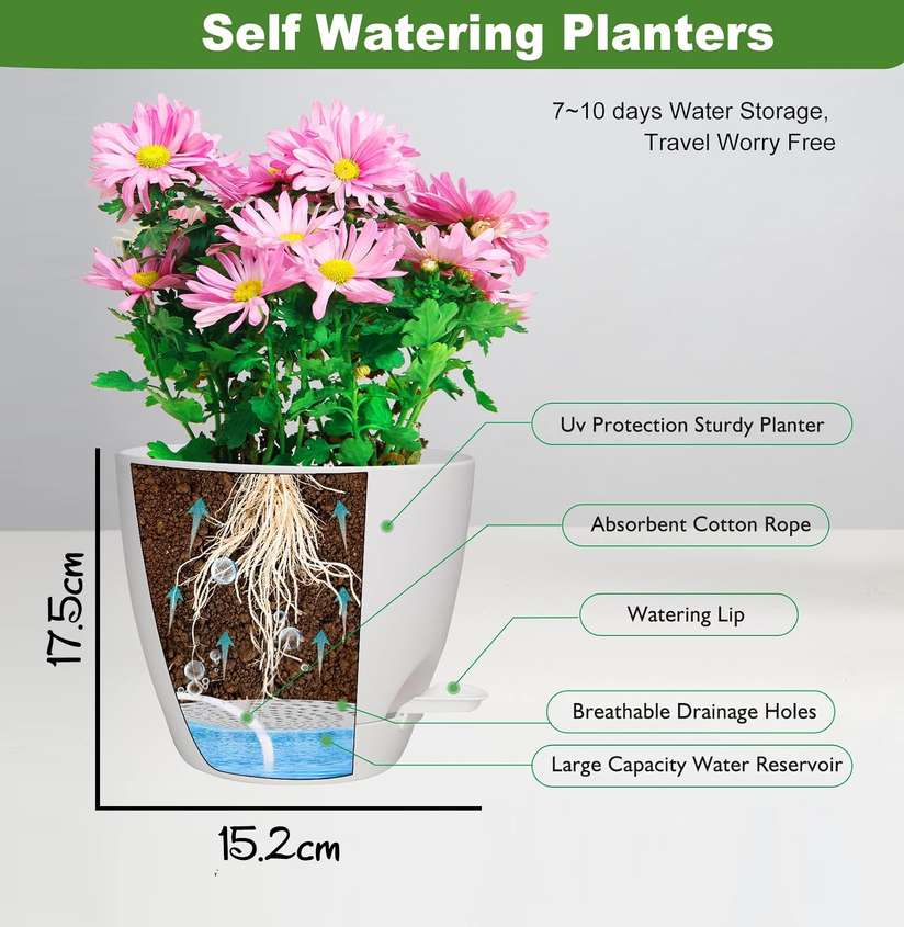 Shopsy TechHark Self Watering Pots Set for Home Decoration - Image 6