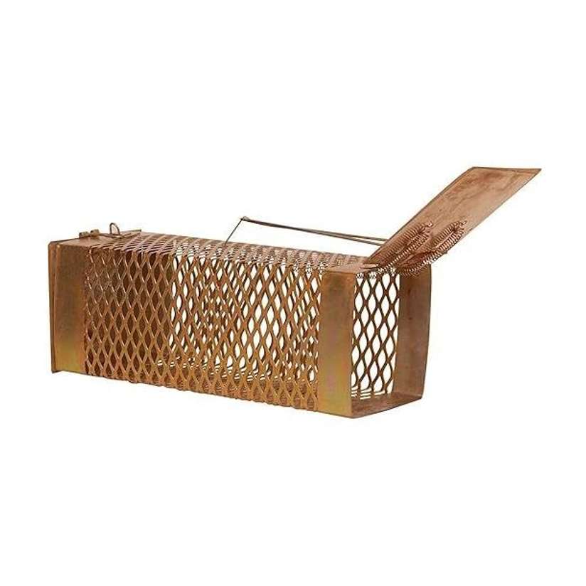 PVX1 Mouse ! Rodent Iron Cage Live Trap Price in India - Buy PVX1 Mouse ! Rodent Iron Cage Live Trap online at Shopsy.in - Image 2