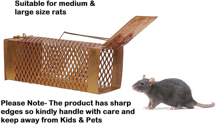 PVX1 Mouse ! Rodent Iron Cage Live Trap Price in India - Buy PVX1 Mouse ! Rodent Iron Cage Live Trap online at Shopsy.in - Image 4