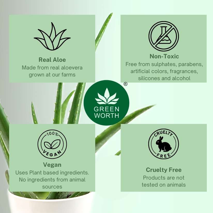 Greenworth Pure Aloe Vera Gel for men and women Price in India - Buy  Greenworth Pure Aloe Vera Gel for men and women online at Shopsy.in