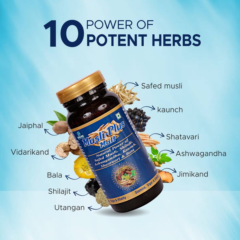 BIOLIFE Musli Plus Malt - Image 4