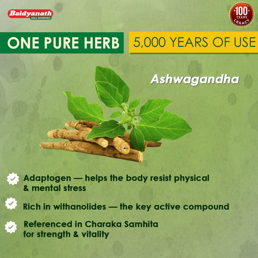Baidyanath Ashwagandha Churna 100g - Image 7