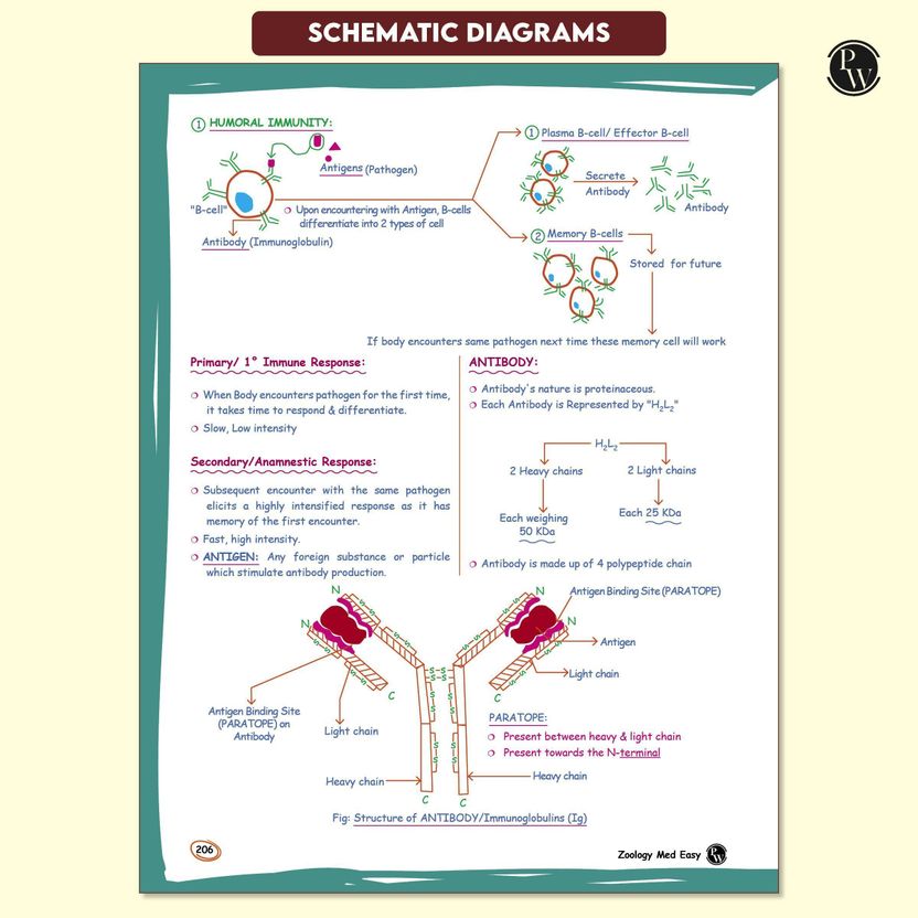 PW Med Easy Zoology 2.0 & Botany Handwritten Notes - Image 8