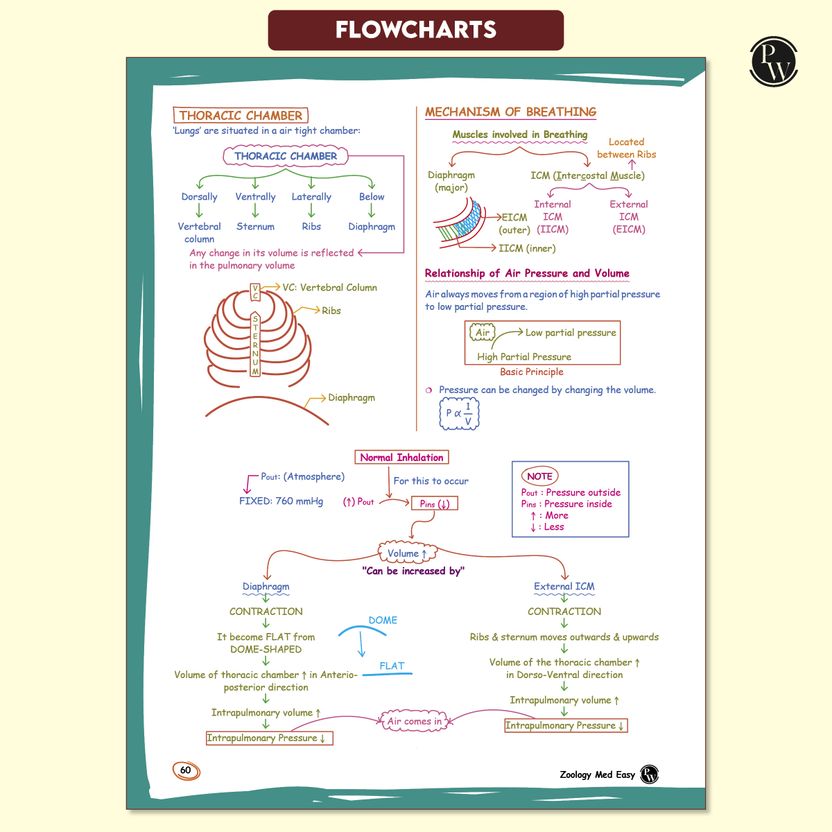 Physics Wallah Zoology Book - Image 6