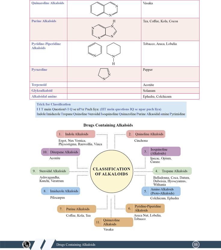 PW Pharma Pulse – Topper’s Tonic - Image 6