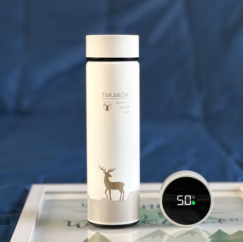 Cilox 500 ml Hot & Cold Thermos Water Bottle - Image 1