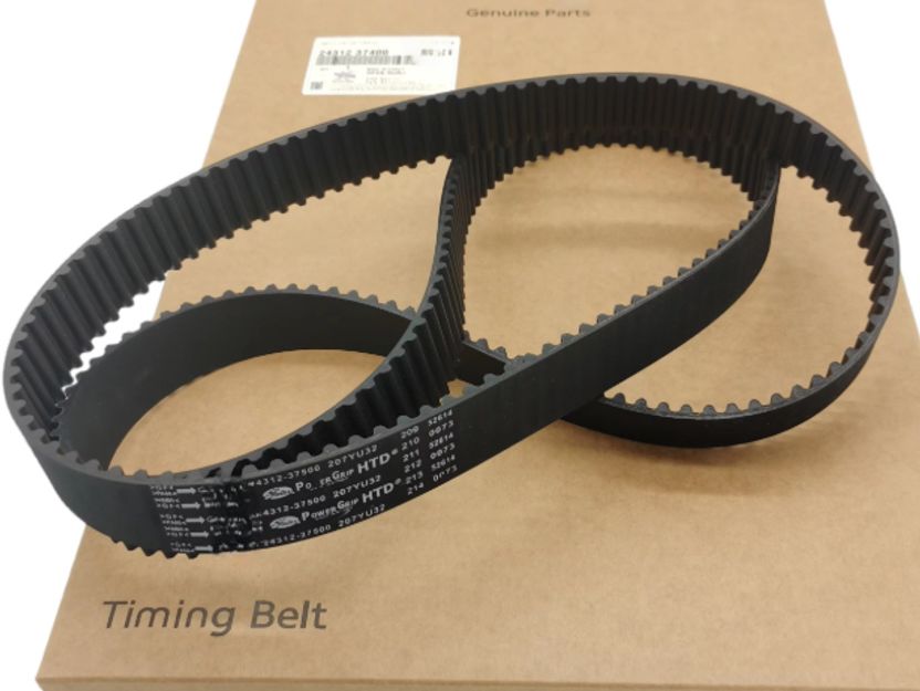 ARDAKI21 Revolt Rv400 Electric Bike Belt - Image 2