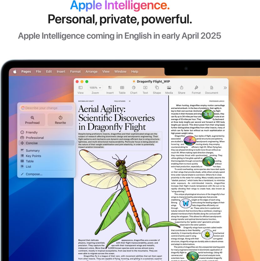 Apple MacBook Air M4 16GB 256GB - Image 8
