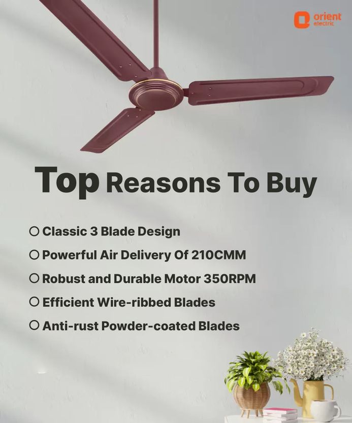 Orient Electric Ujala Air Fan - Image 4