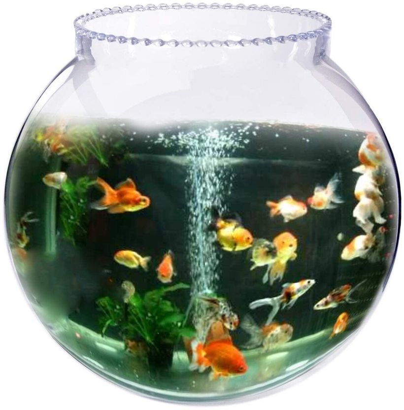 AYUTAS 4 L Fish Bowl - Image 4