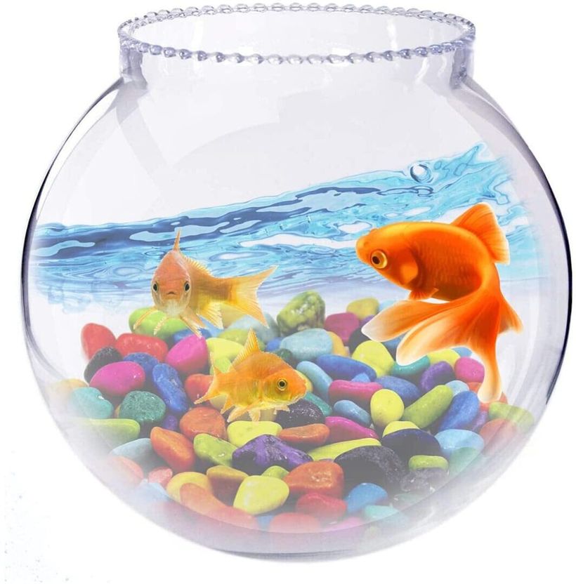 AYUTAS 4 L Fish Bowl - Image 1