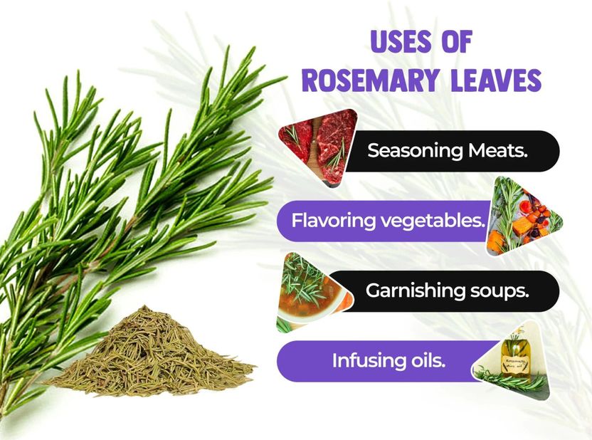NeutriOne Rosemary Leaves Dried for Hair Growth - Image 4