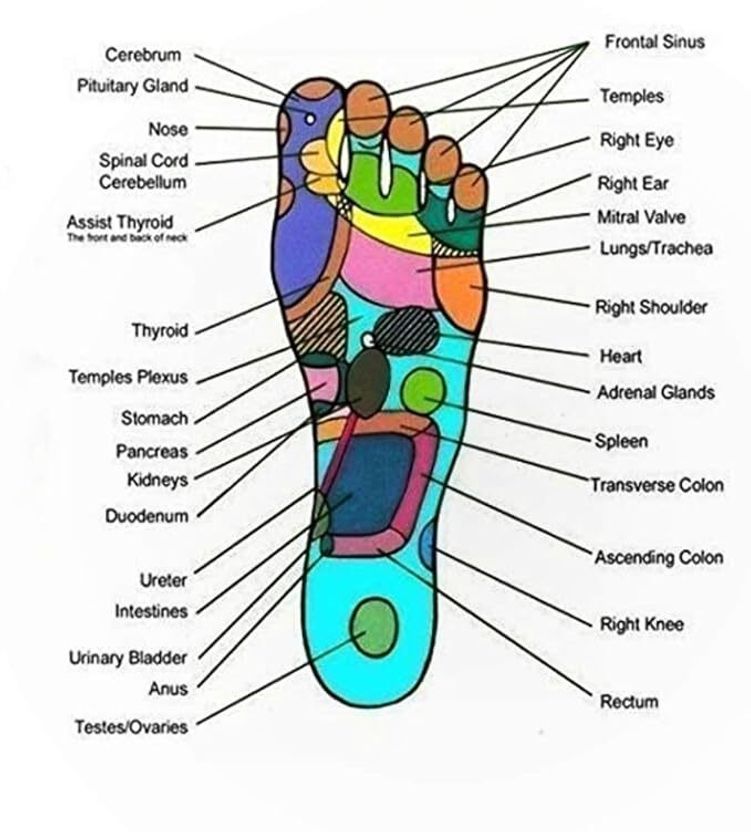 GMAcu Acupressure Shoes Insoles for Men and Women - Image 4