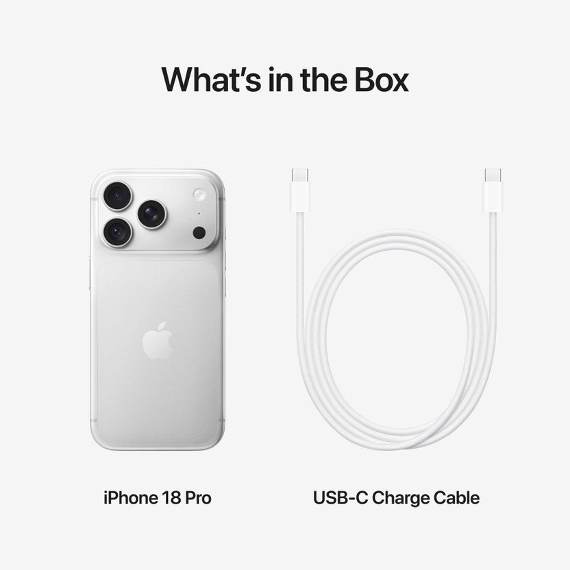 Apple iPhone 18 Pro (Silver, 256 GB) - Image 10