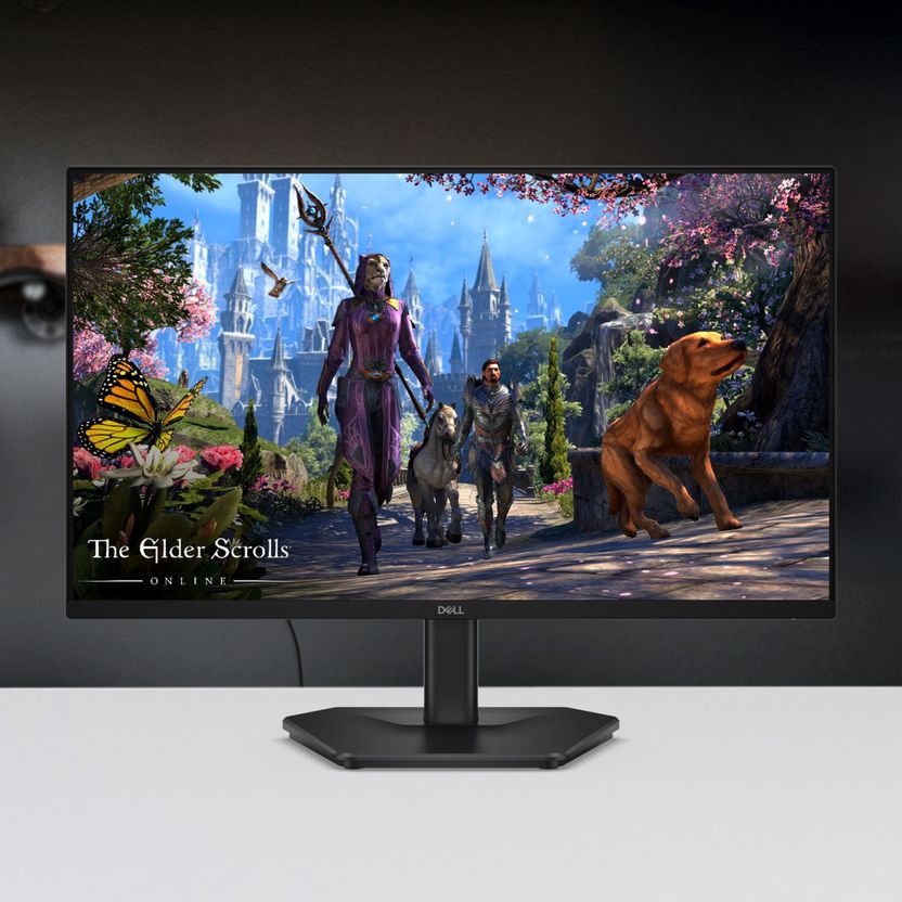 DELL SE2725HG 27 inch Full HD IPS Monitor - Image 5