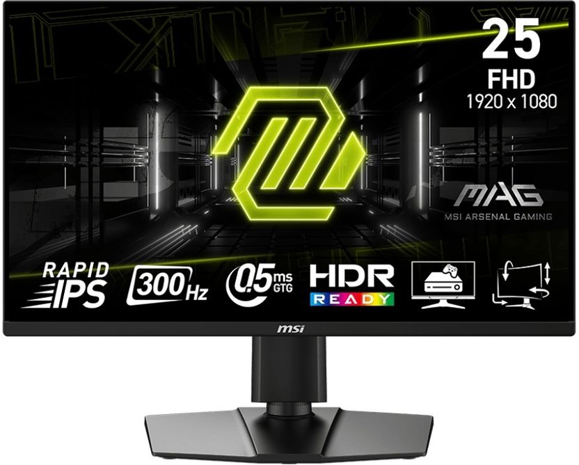 MSI 25 inch Full HD IPS Gaming Monitor (MAG 255PX) - Image 1