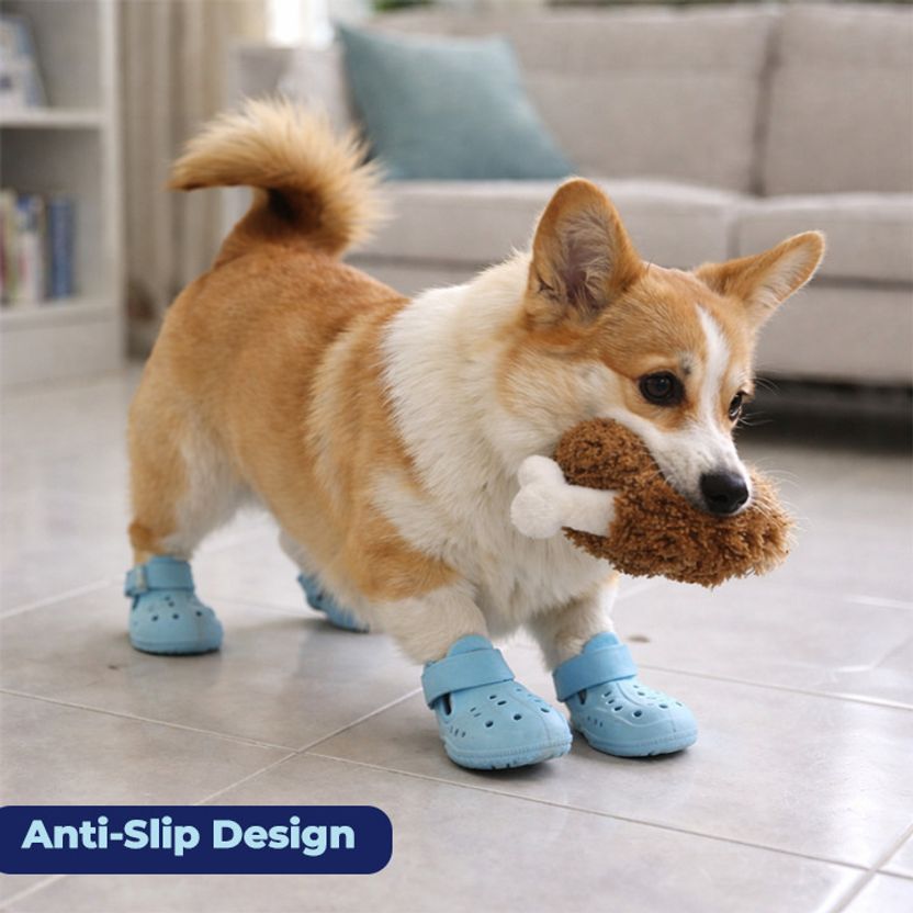 PETZ R US Dog Shoes - Image 5