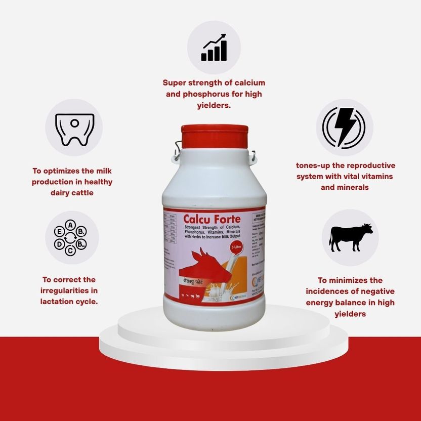 vet cure quick Calcu Forte Liquid Calcium Supplement 5L - Image 3