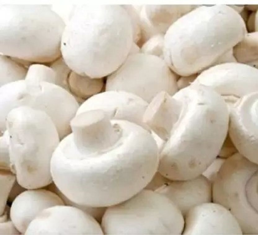 Chalisa Mushroom Seed 160 per packet - Image 1