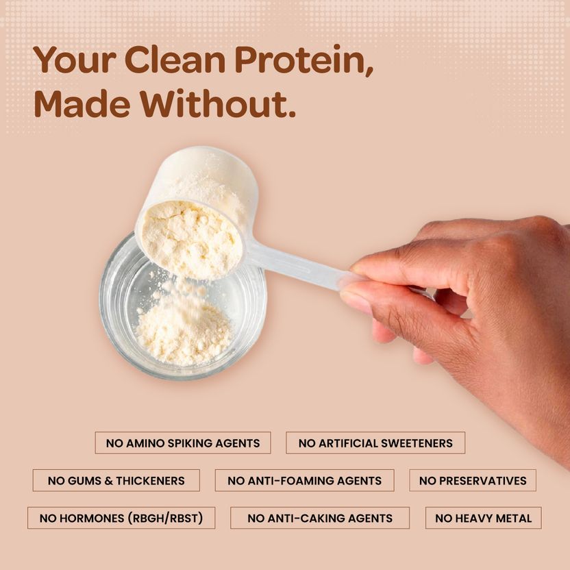 BIGMUSCLES NUTRITION 100% Pea Protein Isolate Protein Powder | Complete Amino Acid Profile | 30g Plant-Based Protein Price in India - Image 6