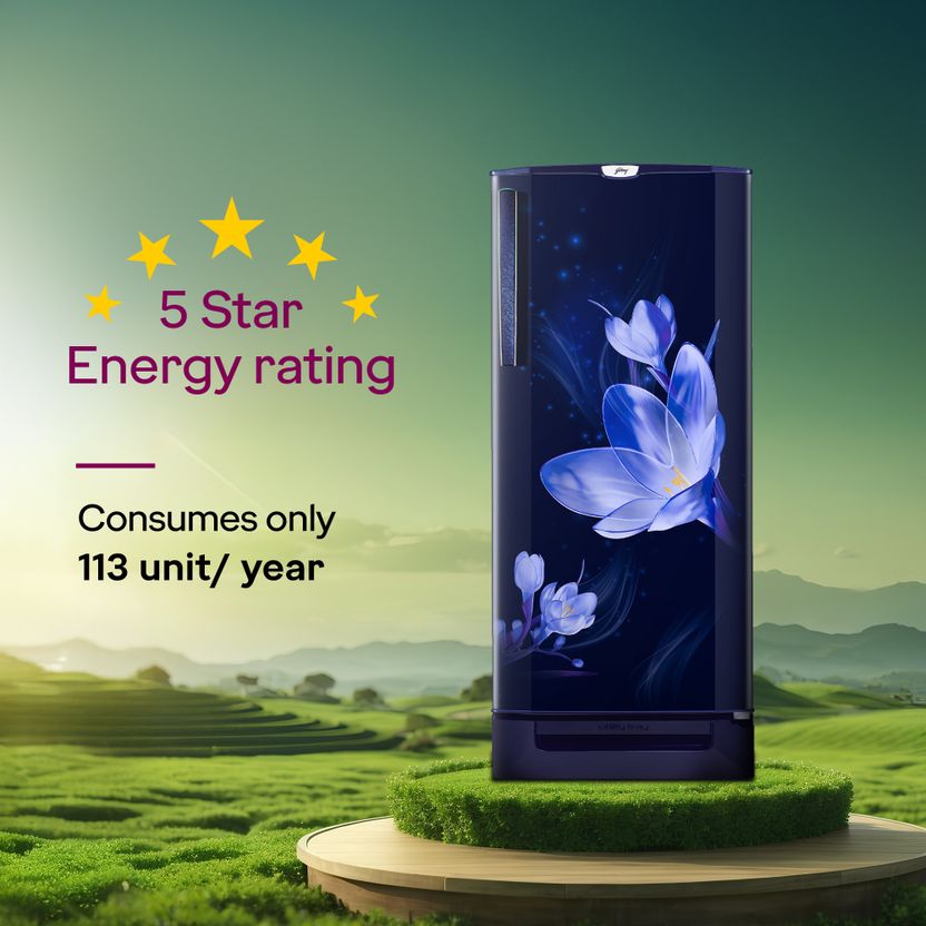 Godrej 185L Direct Cool Single Door 5 Star Refrigerator - Image 2